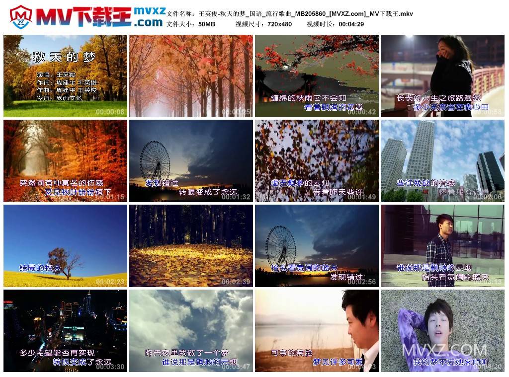 王英俊-秋天的梦_国语_流行歌曲_MB205860